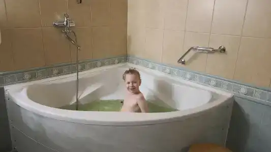 Веста - 46