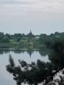 Иволга - 40