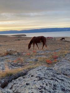 Байкал Вью - 77