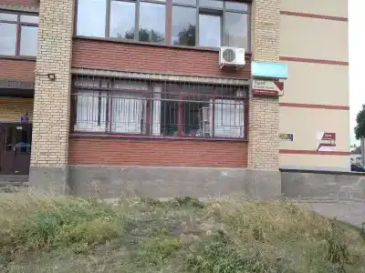 Азалия - 14