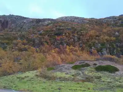 Teriberka by Eco Home - 23