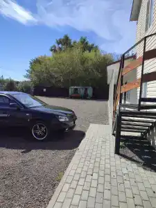 Березка - 14