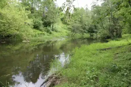 Бивер ресорт - 21