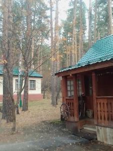 Зенит - 36