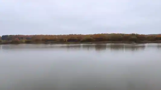 Баскак - 81