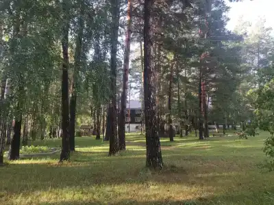 Аватар-Жизнь - 16