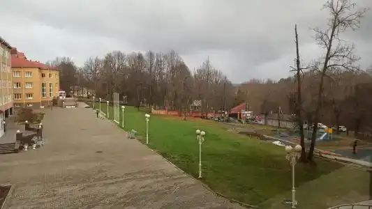 Газовик - 21