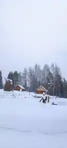 Янов хутор - 48