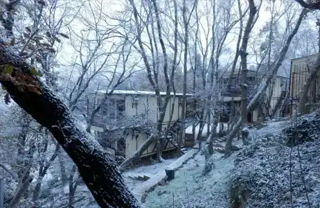 Зелёный мыс - 29
