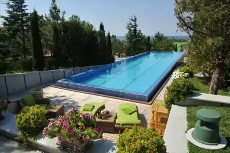 Вязовая роща - 21