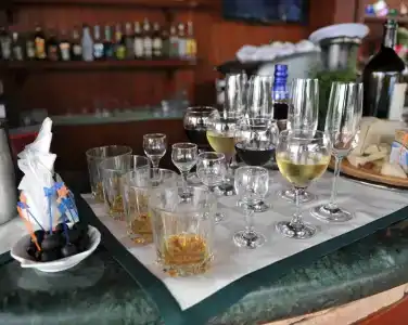 Вязовая роща - 15