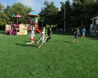 Вязовая роща - 25