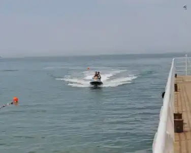 Вязовая роща - 39