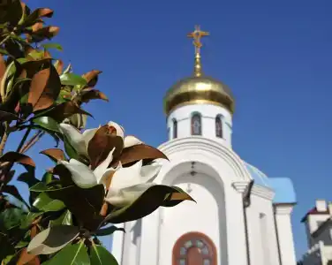 Вязовая роща - 45