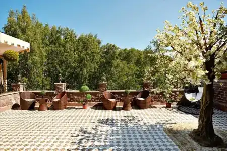 Green House - 15