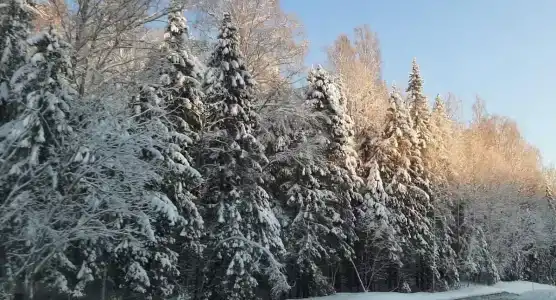 Купола Карелии - 21