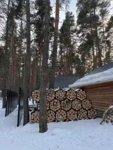 Берендей - 93