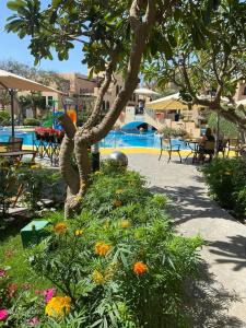 Novotel Bahrain Al Dana - 58