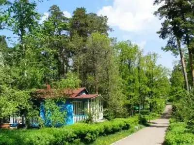 Белое Озеро - 46