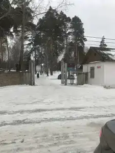 Сосновый бор - 1