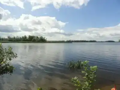 Полянка - 4
