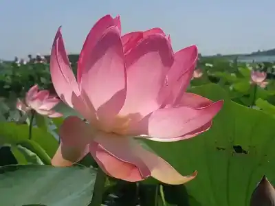 Номера с кухней на Привокзальной - 17