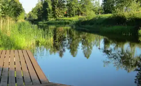 Кобона - 10