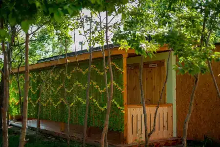 Фламинго - 13