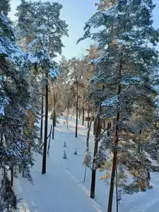 Жуковский - 13