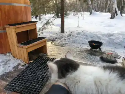 ForestHouse Лесной домик - 32