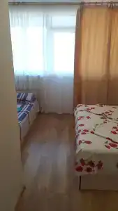 Дельфин - 7
