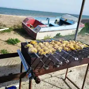 Б/о рудный - 53