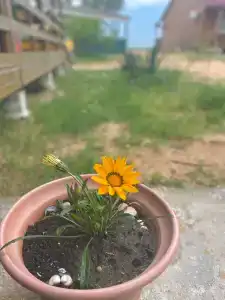 База отдыха у Петровича - 18