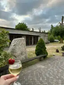 Агроусадьба Беловежская Гостевая - 45