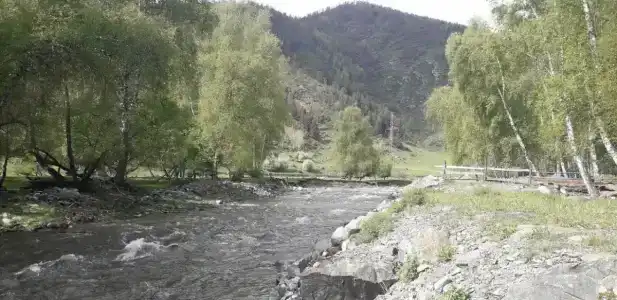 Эркелей - 38