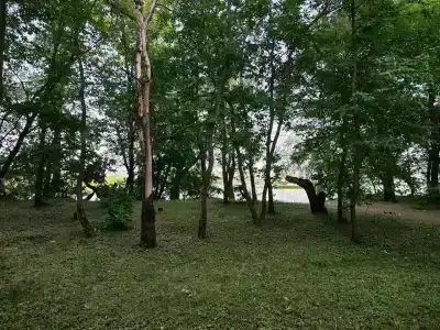 Мелиоратор - 16
