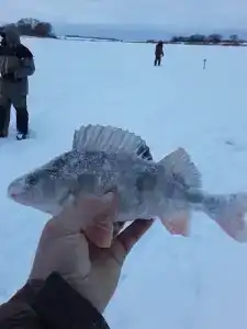 На Вазузу - 58