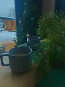 Лес и Волга - 69