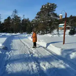 Хакусы - 49