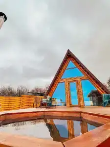 Гнездо - 0