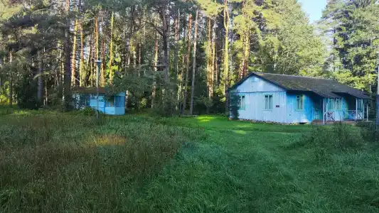 Волна - 0