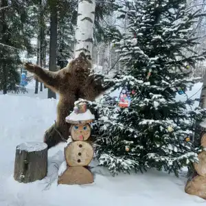 Сокол - 17