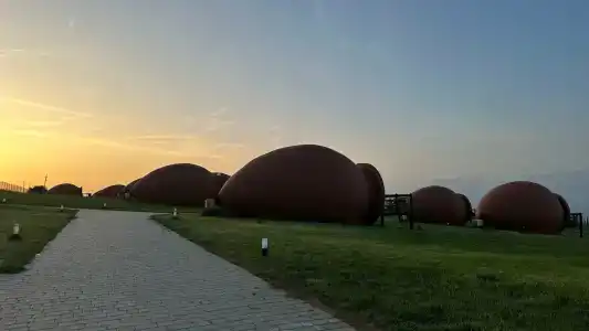 Qvevrebi - 19
