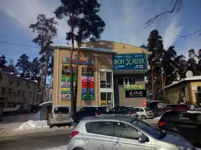 Фон Мекк - 2