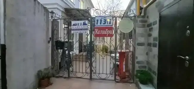 Колибри - 17