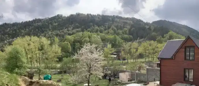 Для друзей - 40