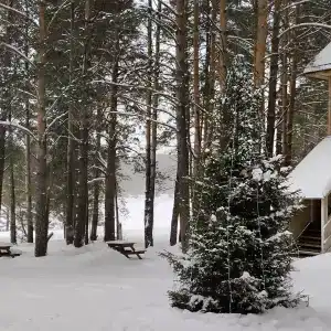 Канада - 19