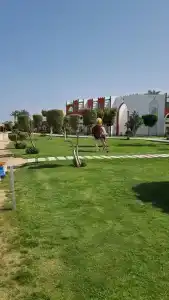 Sunrise Mamlouk Palace Resort - 55