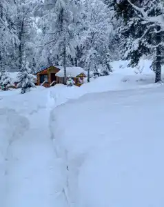 Chalet Family - 47