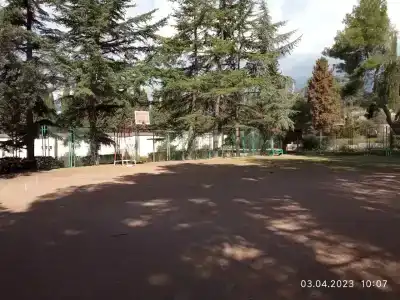 Магнолия - 5